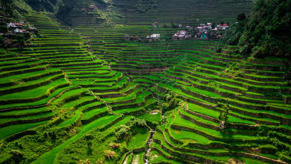 Provincia di Ifugao
